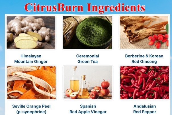 Citrusburn Ingredients